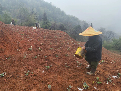 bifa·必发(中国)唯一官方网站股份公司春肥送暖助春耕